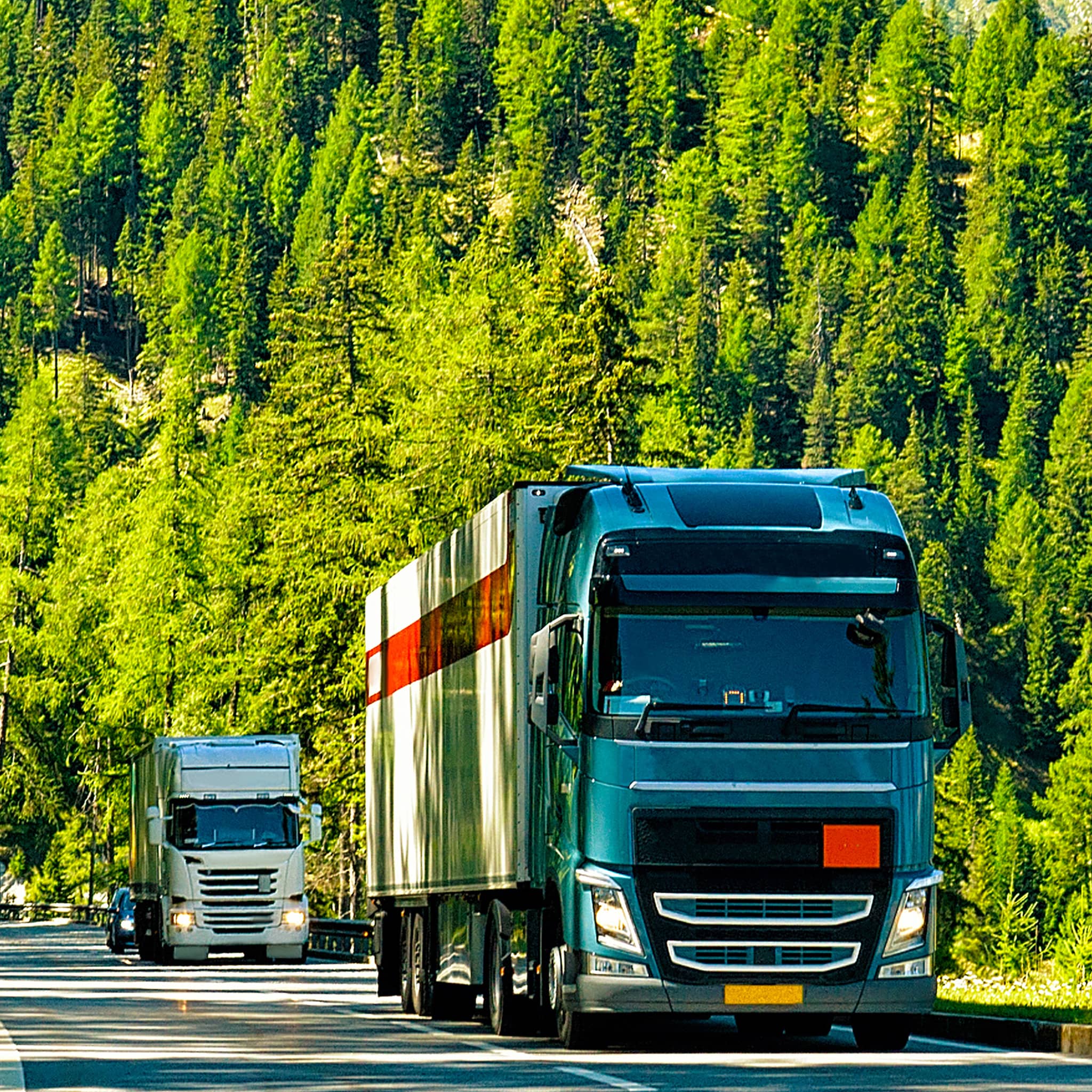 DDC-brexit-solutions-trucks