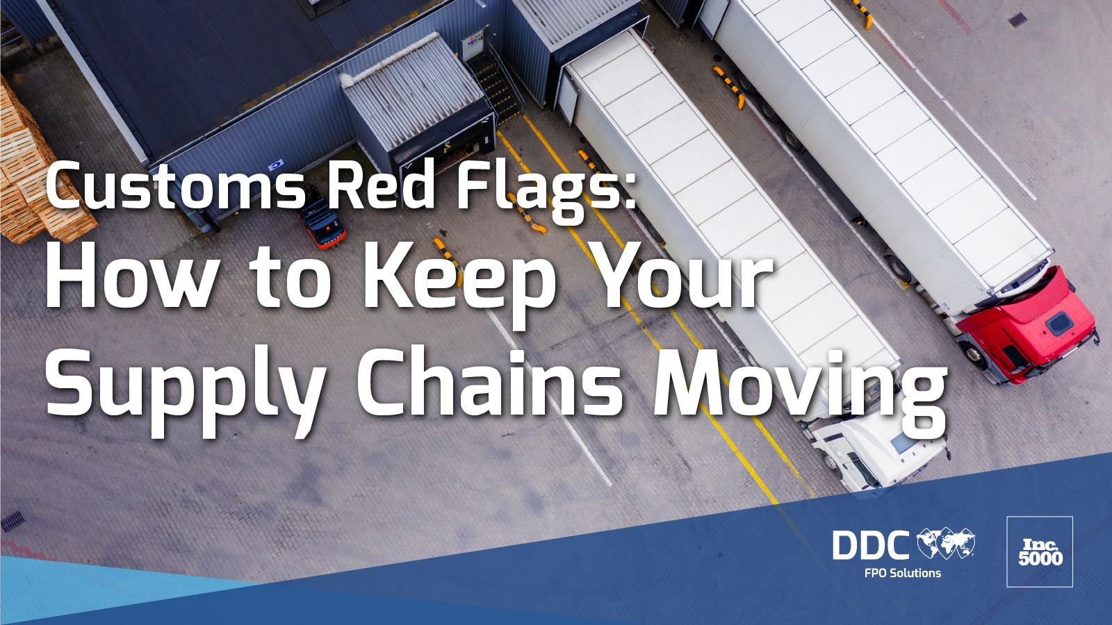 Customs Red Flags: How to Keep Your Supply Chains Moving