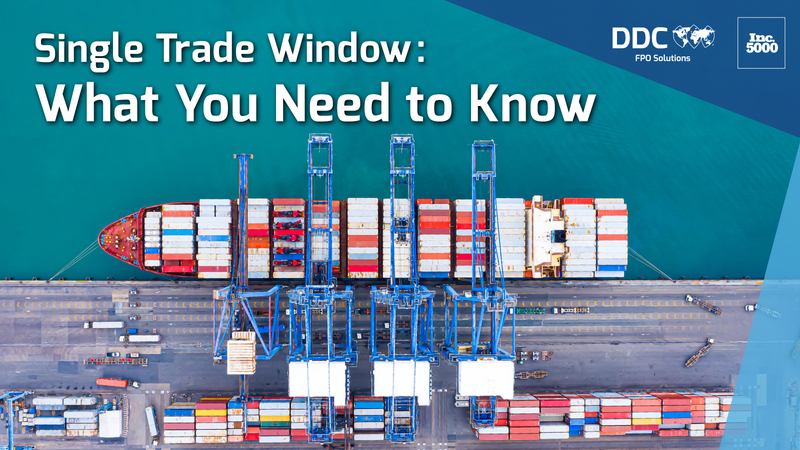The UK Single Trade Window: What You Need to Know
